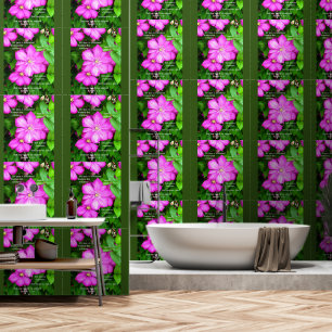 Clematis with Romans 5:3-5 Wallpaper