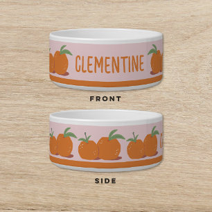 Clementine Orange Satsuma Dog Cat Pet