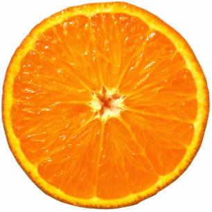 Clementine Photo Sculpture Decoration