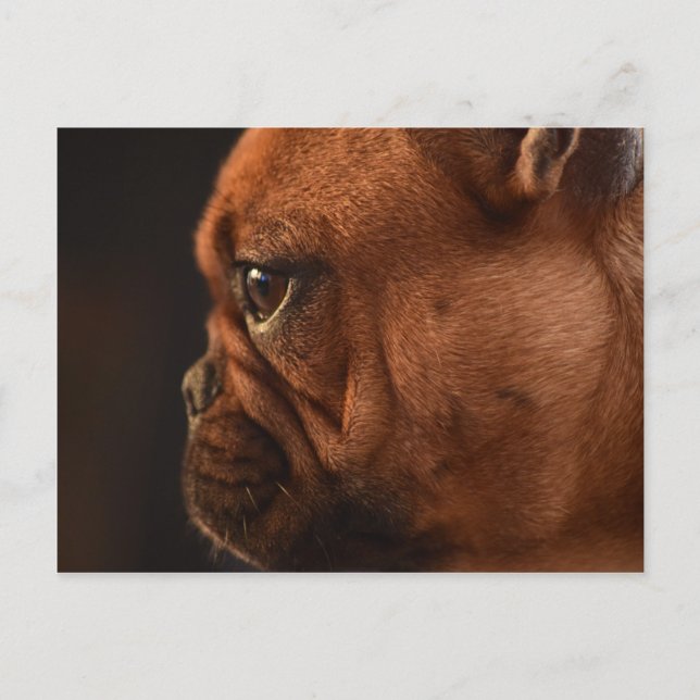 Clémentine Postcard (Front)