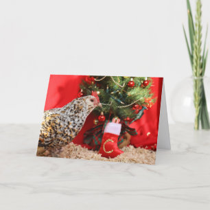 Clementine's Christmas Wish  Holiday Card