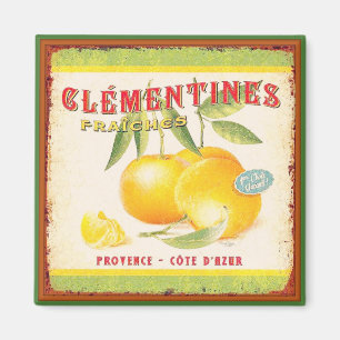 Clementines of Provence Magnet