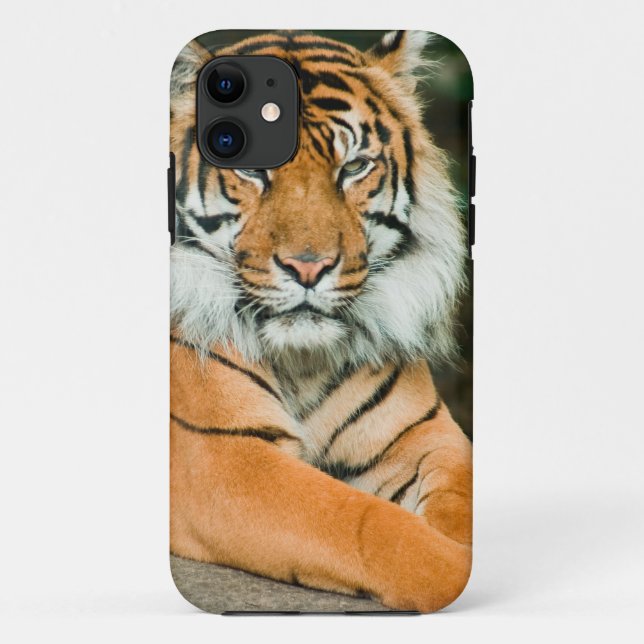 Clemson Tiger Football Cell Phone Cases and Covers (Back)