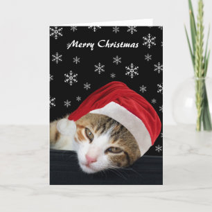 Cleo Holiday Card