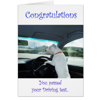 Cleo Passed Driving Test