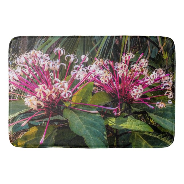 Clerodendrum Starburst Flowers Bath Mat (Front)