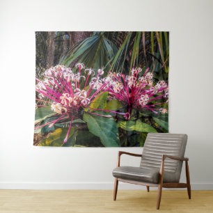 Clerodendrum Starburst Flowers  Tapestry