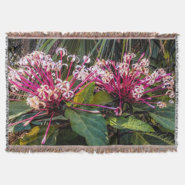 Clerodendrum Starburst Flowers Throw Blanket (Front)
