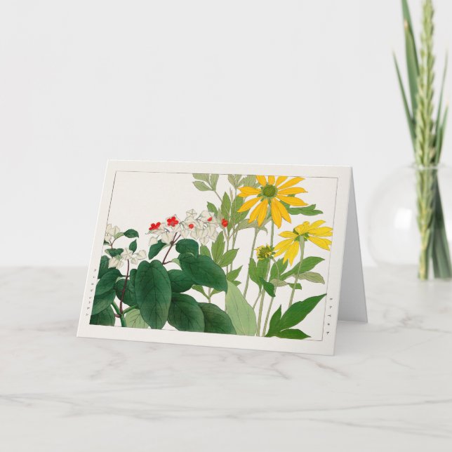 Clerodendrum thomsoniae, Rudbeckia, Tanigami Konan Card (Front)