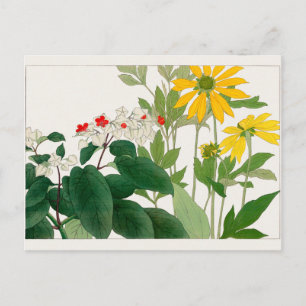 Clerodendrum thomsoniae, Rudbeckia, Tanigami Konan Postcard