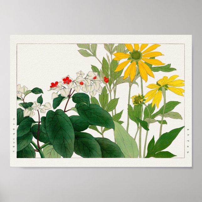 Clerodendrum thomsoniae, Rudbeckia, Tanigami Konan Poster (Front)