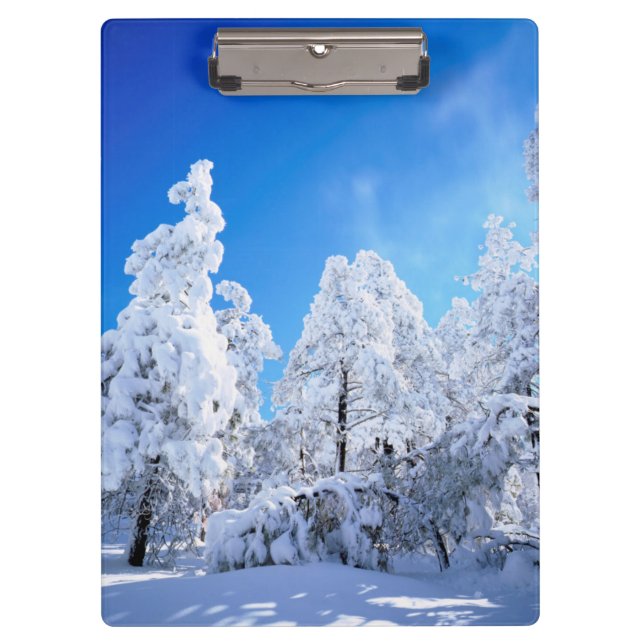 Cleveland National Forest Clipboard (Front)