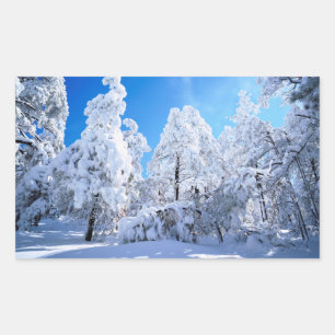 Cleveland National Forest Rectangular Sticker
