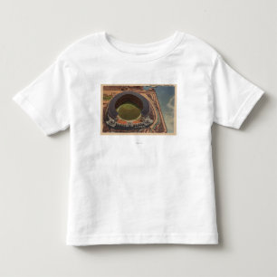 Cleveland, OH - Aerial of Municipal Baseball Toddler T-Shirt