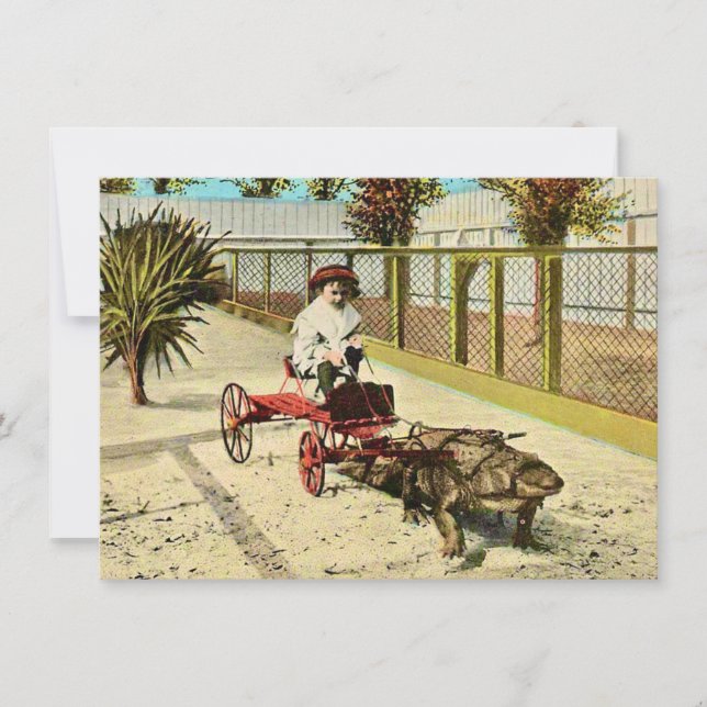 Clever Florida Alligator Moving Announcement (Front)