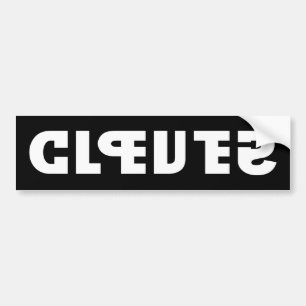 Clever on the Sticker, Stupid in the Mirror Bumper Sticker