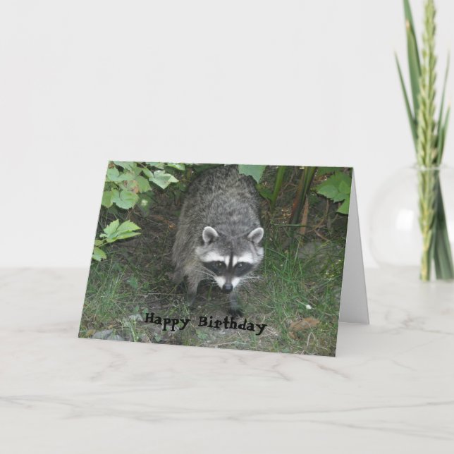 Clever Racoon Birthday Greeting Card (Front)