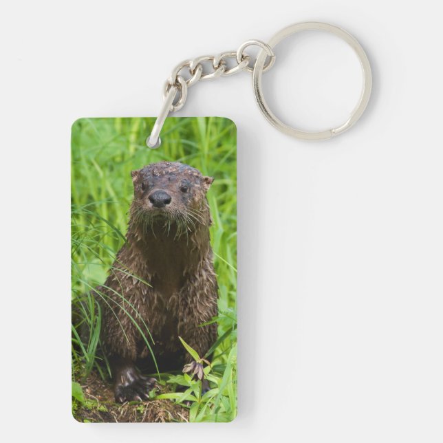Clever River Otter Key Ring (Back)