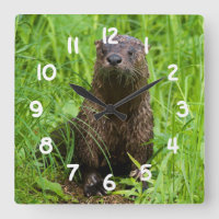 Clever River Otter