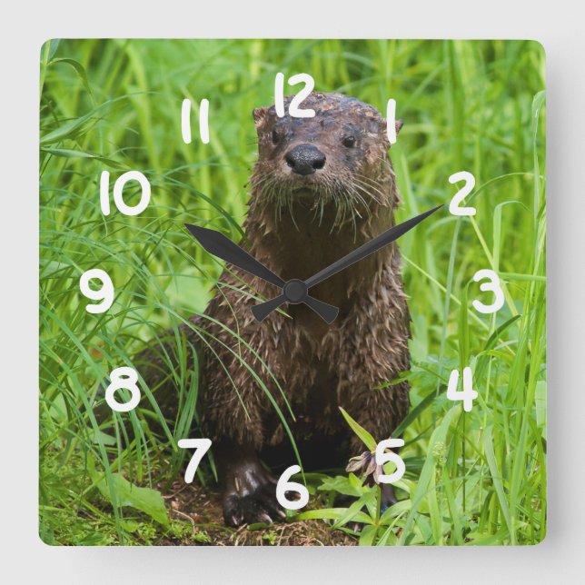 Clever River Otter Square Wall Clock (Front)
