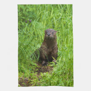 Clever River Otter Tea Towel