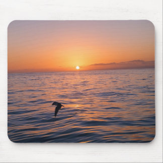 Click & captured  mouse mat