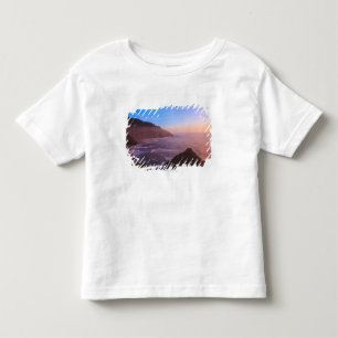 Cliff Coastal View In Oregon at Sunset Toddler T-Shirt