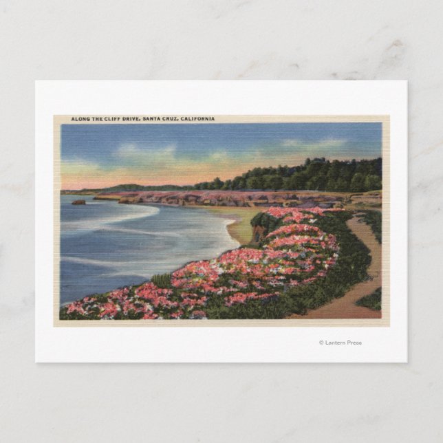 Cliff Drive View of Ocean, Beach, & Flowers Postcard (Front)