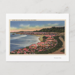 Cliff Drive View of Ocean, Beach, & Flowers Postcard