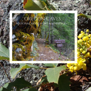 Cliff Nature Trail Trailhead, Oregon Caves, Oregon Postcard