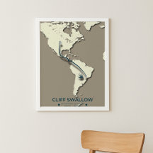Cliff Swallow Migration Map – Minimalist Vintage