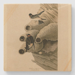Cliff Swallow Republican Audubon Birds of America Stone Coaster