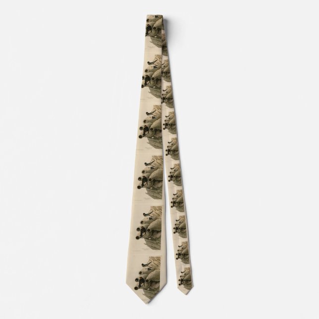 Cliff Swallow Republican Audubon Birds of America Tie (Front)