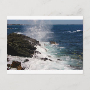 Cliff Walk at Newport, RI Postcard