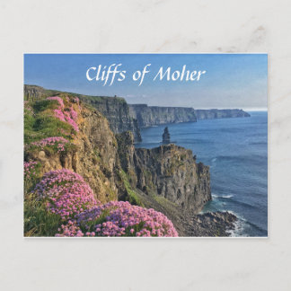 Cliffs of Moher, Ireland, Flowers Postcard