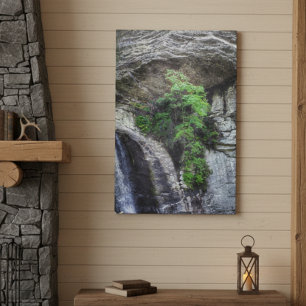 Cliffside Sentinel – Blue Ridge Photography Canvas Print