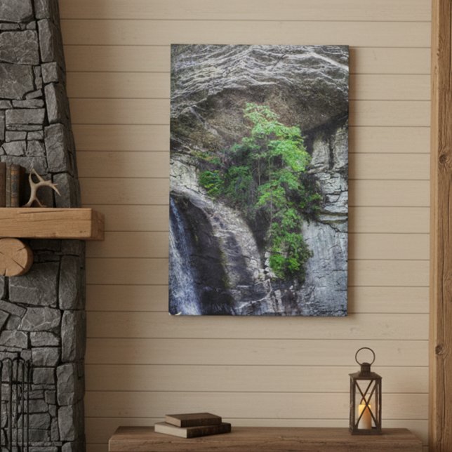 Cliffside Sentinel – Blue Ridge Photography Canvas Print (Creator Uploaded)