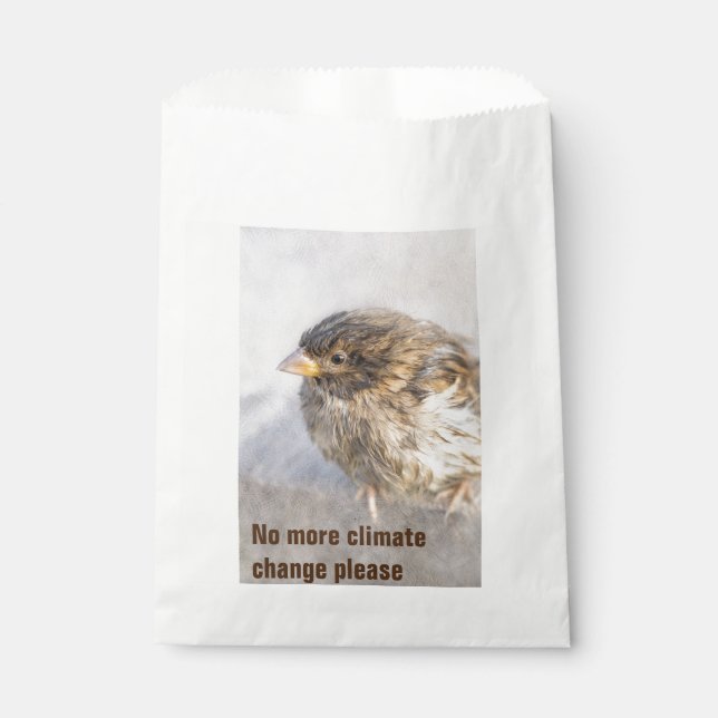 Climate change awareness favour bags (Front)