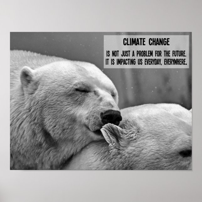 Climate change black and white with polar bears poster (Front)