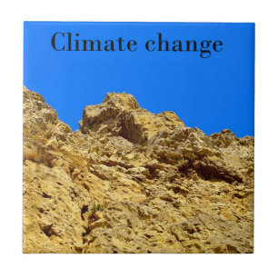 Climate Change look after the environment  Tile