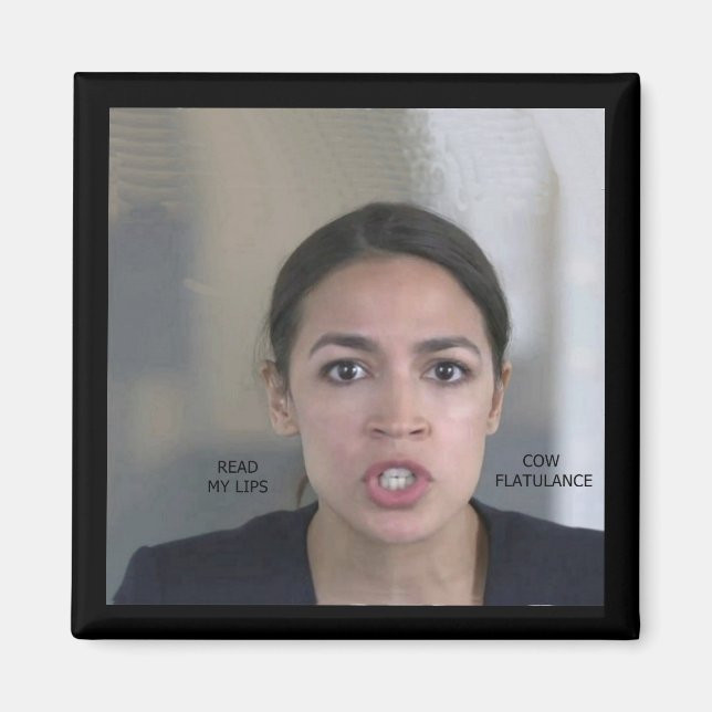 CLIMATE CHANGE MAGNET (Front)