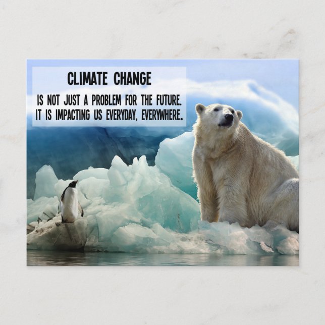 Climate change with polar bear penguin postcard (Front)