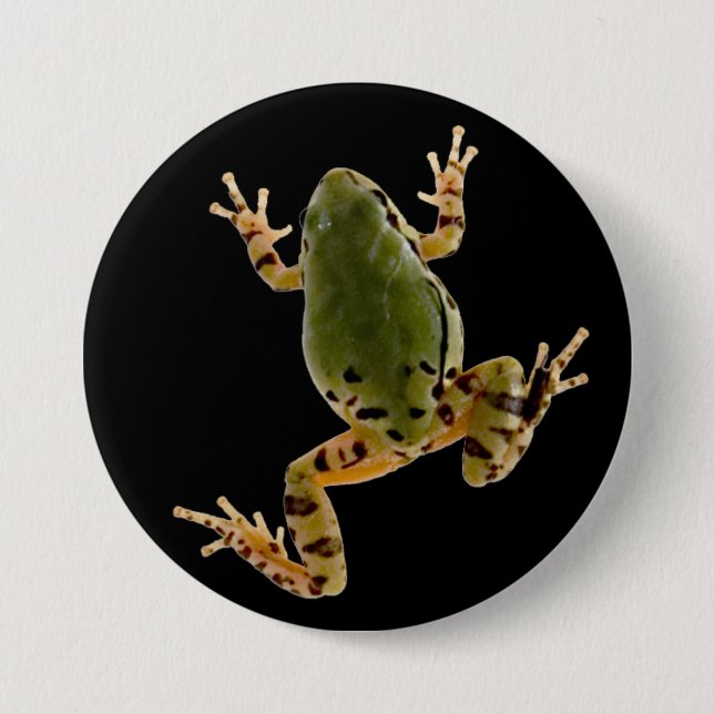 Climbing Arizona Tree Frog Photograph 7.5 Cm Round Badge (Front)