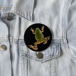 Climbing Arizona Tree Frog Photograph 7.5 Cm Round Badge