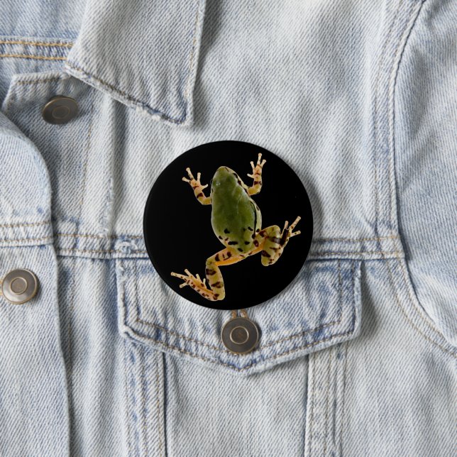 Climbing Arizona Tree Frog Photograph 7.5 Cm Round Badge (In Situ)