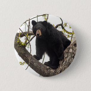Climbing Black Bear 6 Cm Round Badge