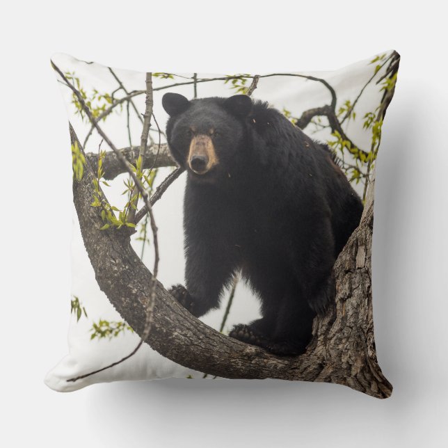 Climbing Black Bear Cushion (Front)