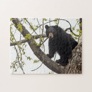 Climbing Black Bear Jigsaw Puzzle