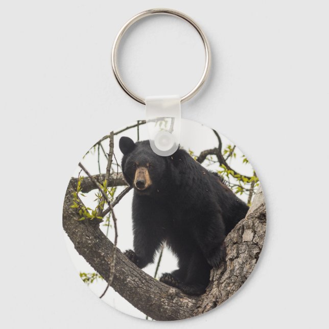 Climbing Black Bear Key Ring (Front)
