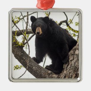 Climbing Black Bear Metal Tree Decoration